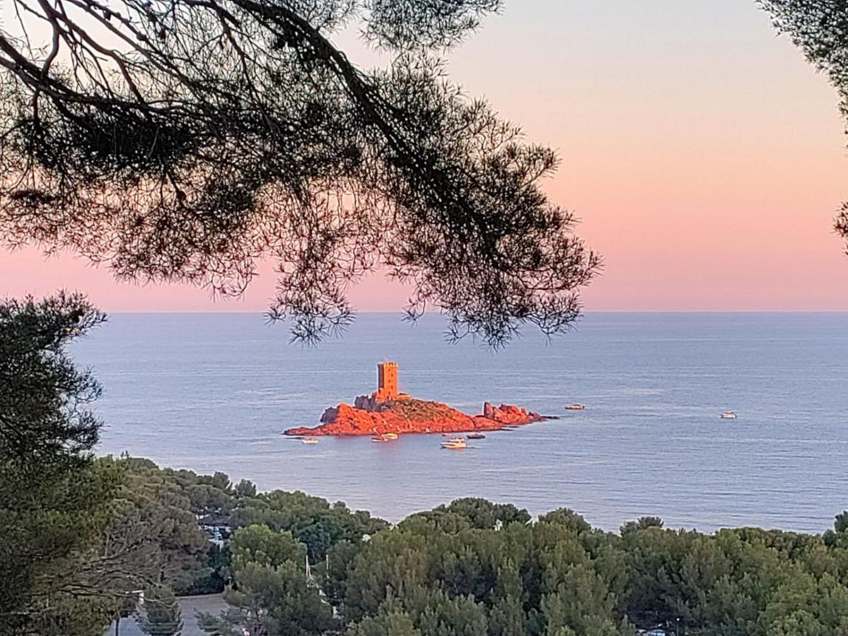 Vacances En Paradis Saint-Raphaël Buitenkant foto