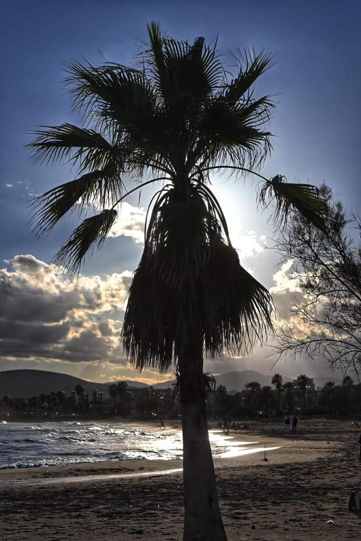 Vacances En Paradis Saint-Raphaël Buitenkant foto